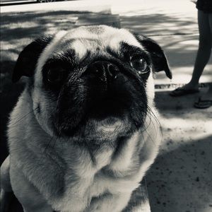 Meet your Posher, Kristen